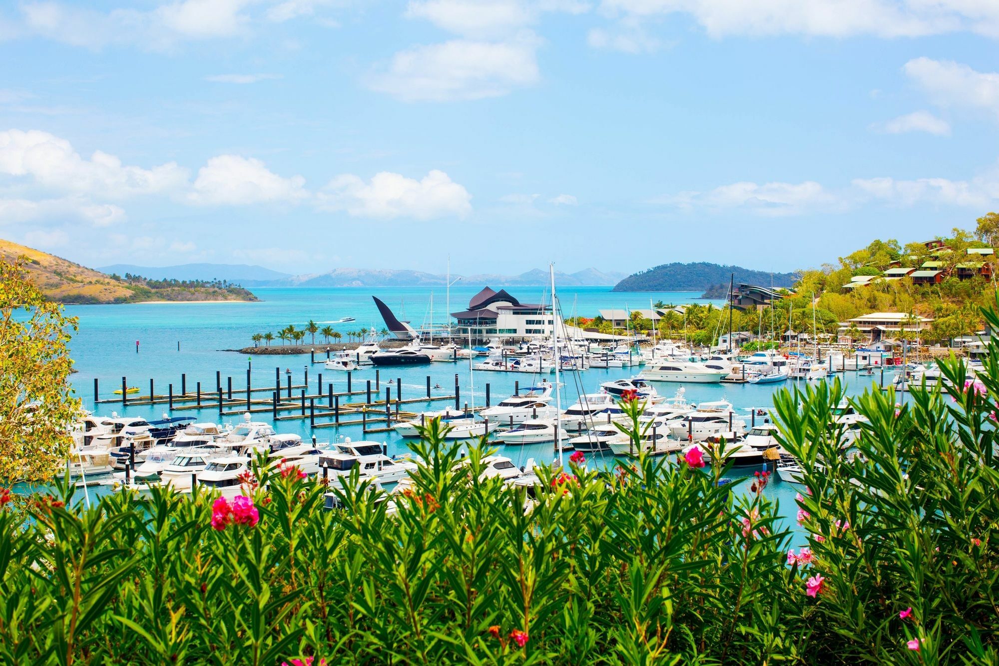 Palm Bungalows Hamilton Island Esterno foto