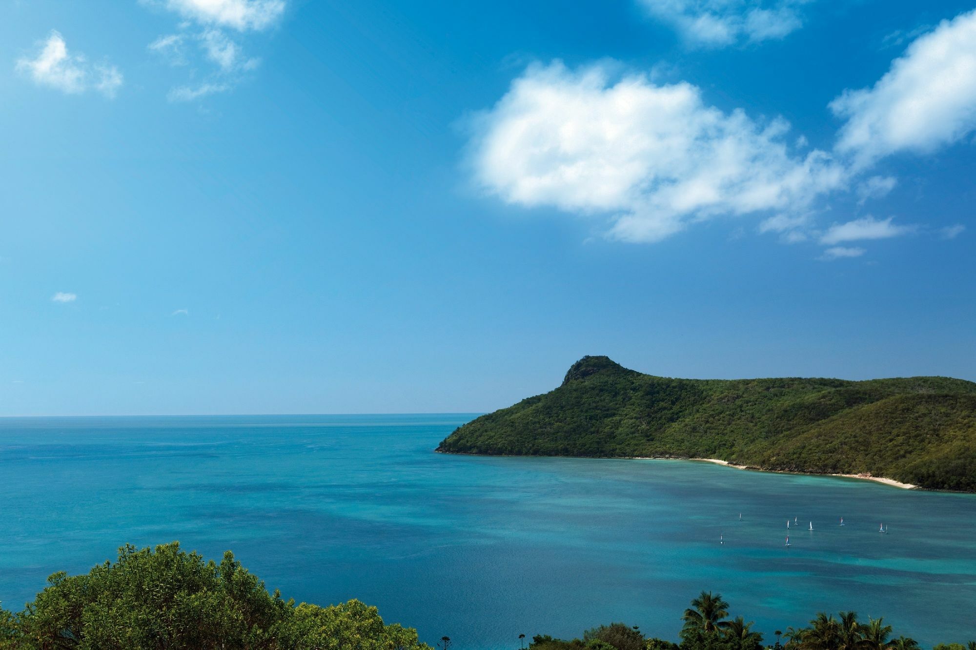 Palm Bungalows Hamilton Island Esterno foto
