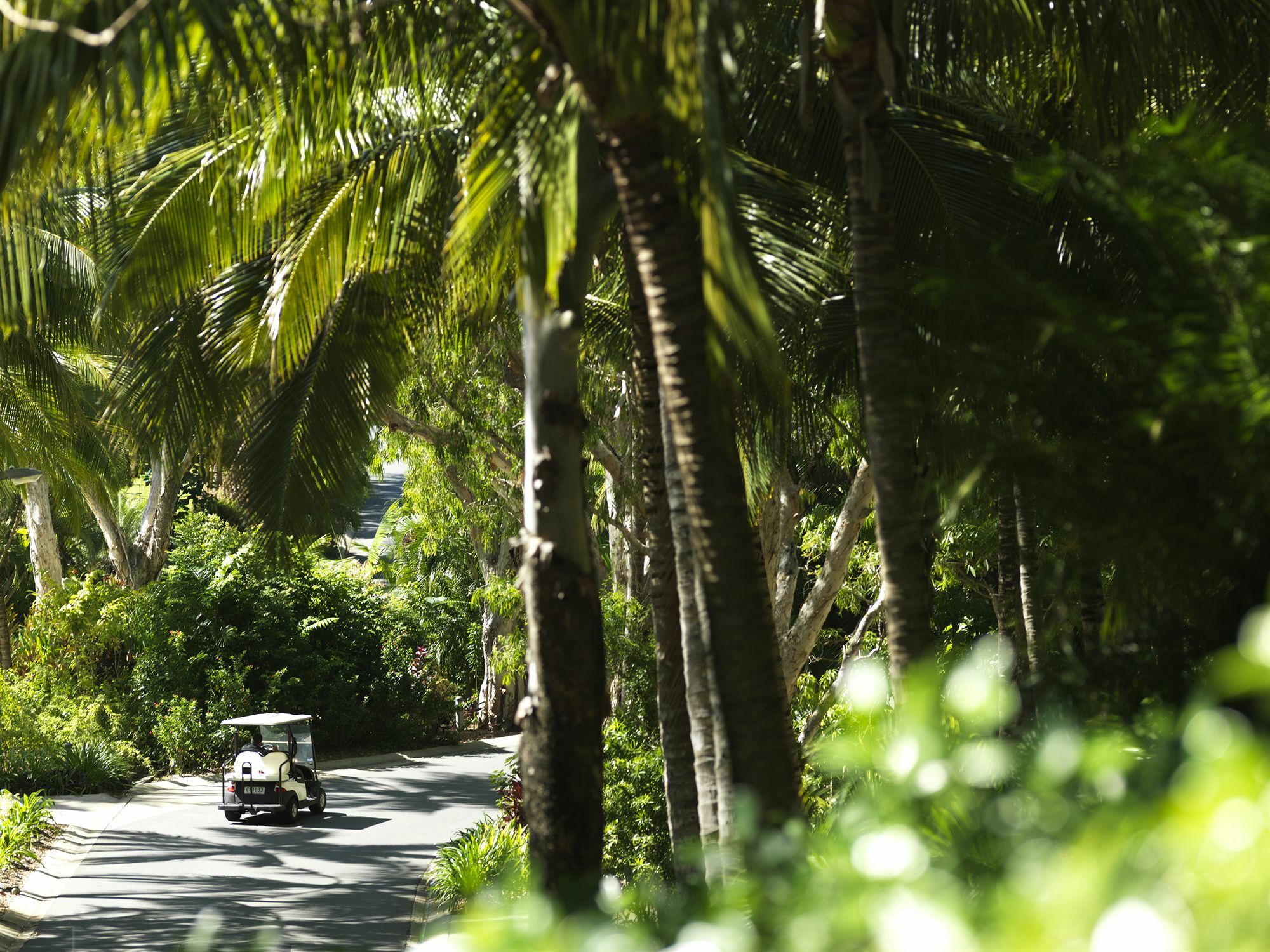 Palm Bungalows Hamilton Island Esterno foto